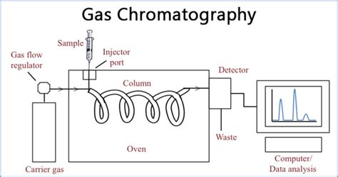 how to interpret gcms|A Beginner’s Guide: How to Interpret Gas Chromatography Mass .